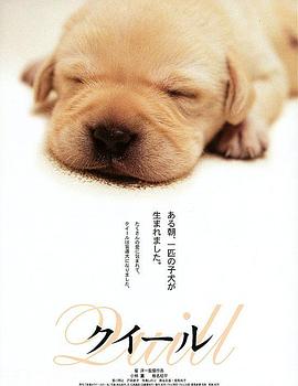 导盲犬小Q【影视解说】