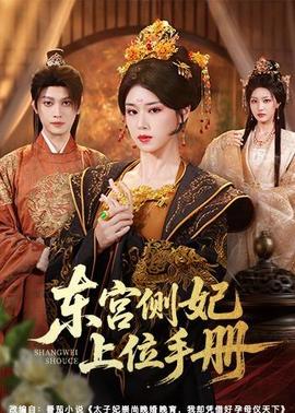 东宫侧妃上位手册
