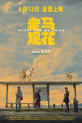 走马观花预告片