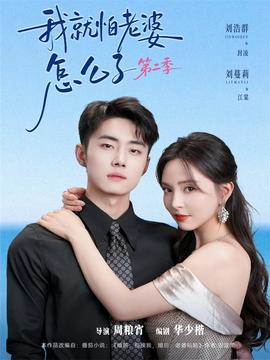 我就怕老婆怎么了第二季