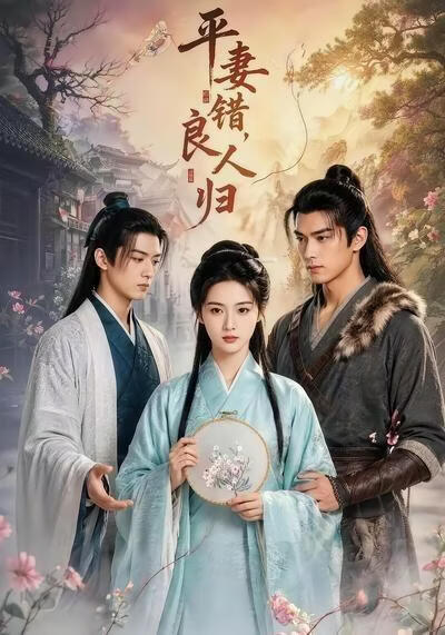 平妻错，良人归
