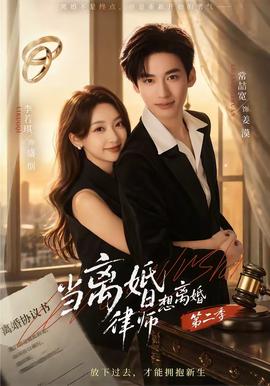 当离婚律师想离婚第二季
