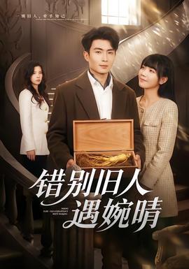 错别旧人遇婉晴