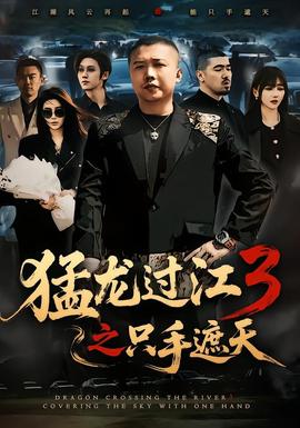 猛龙过江3之只手遮天